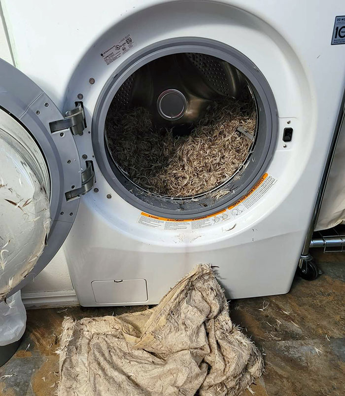 Mi novio intentó lavar una almohada