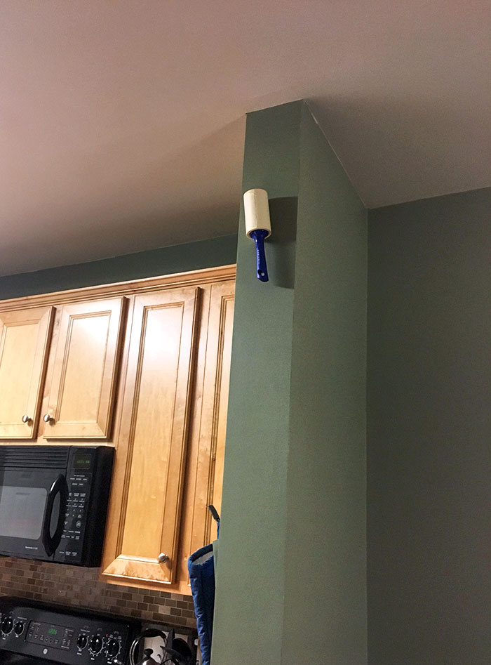 Mi marido ha estado pegando estos rodillos en lugares que no puedo alcanzar para molestarme. Está funcionando