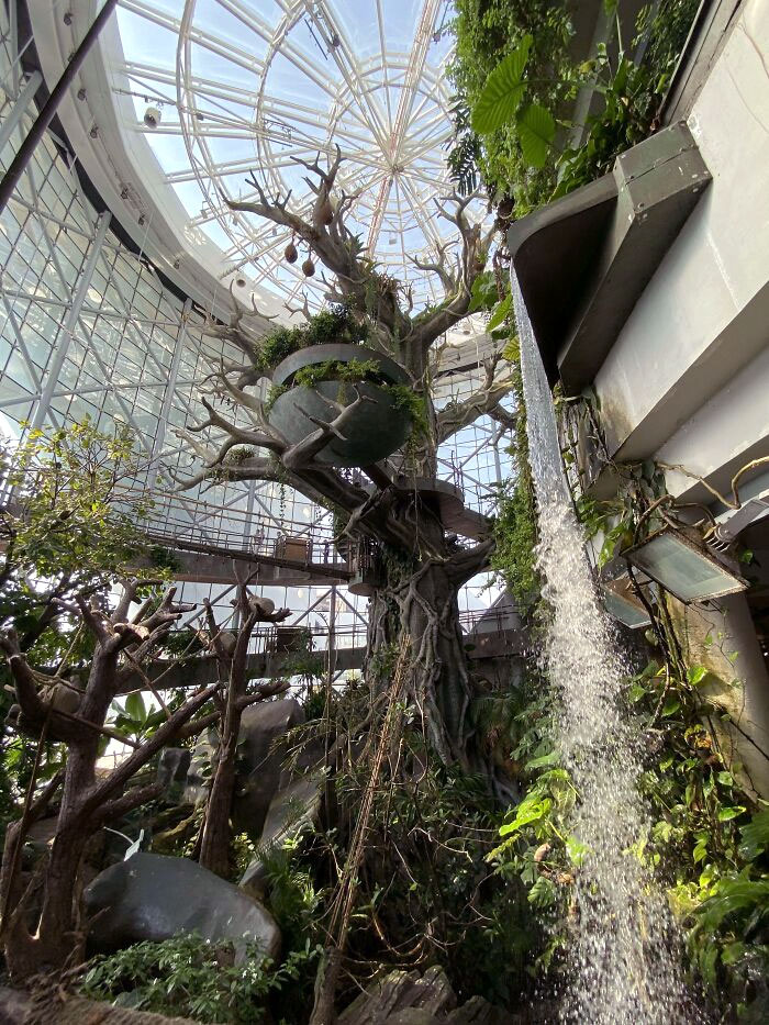 Green Planet In Dubai