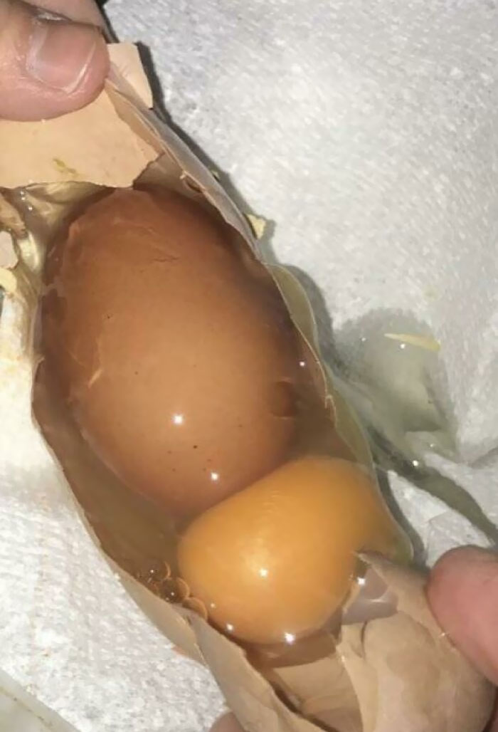 One Of Our Chickens Just Laid A Jumbo Egg With Another Egg Inside