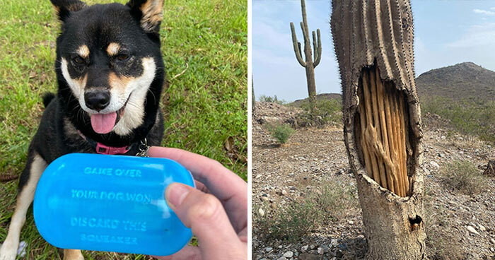 50 Times Things Got “Opened” And People Saw Interesting Things Inside (New Pics)