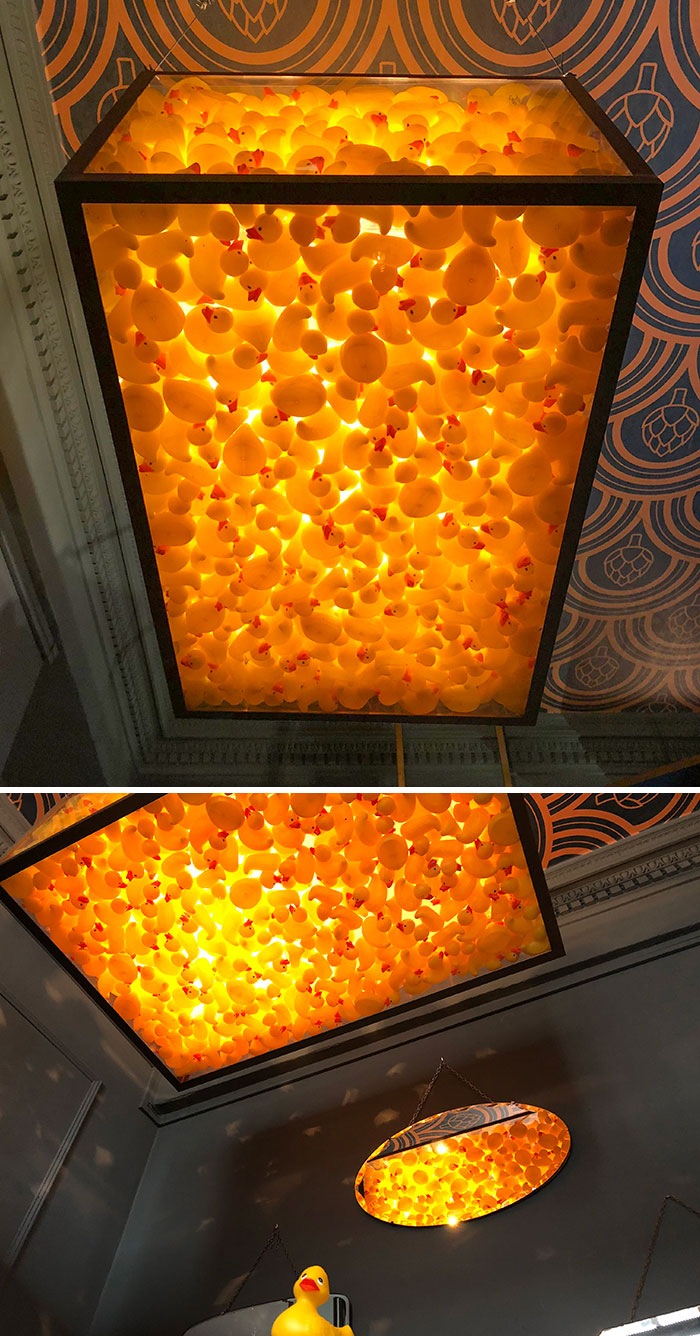 I Found This Ceiling Light Full Of Rubber Ducks In A Pub In Edinburgh
