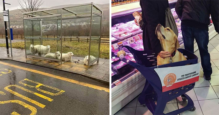 50 Tourists Share Their Surprising Discoveries From Around The World