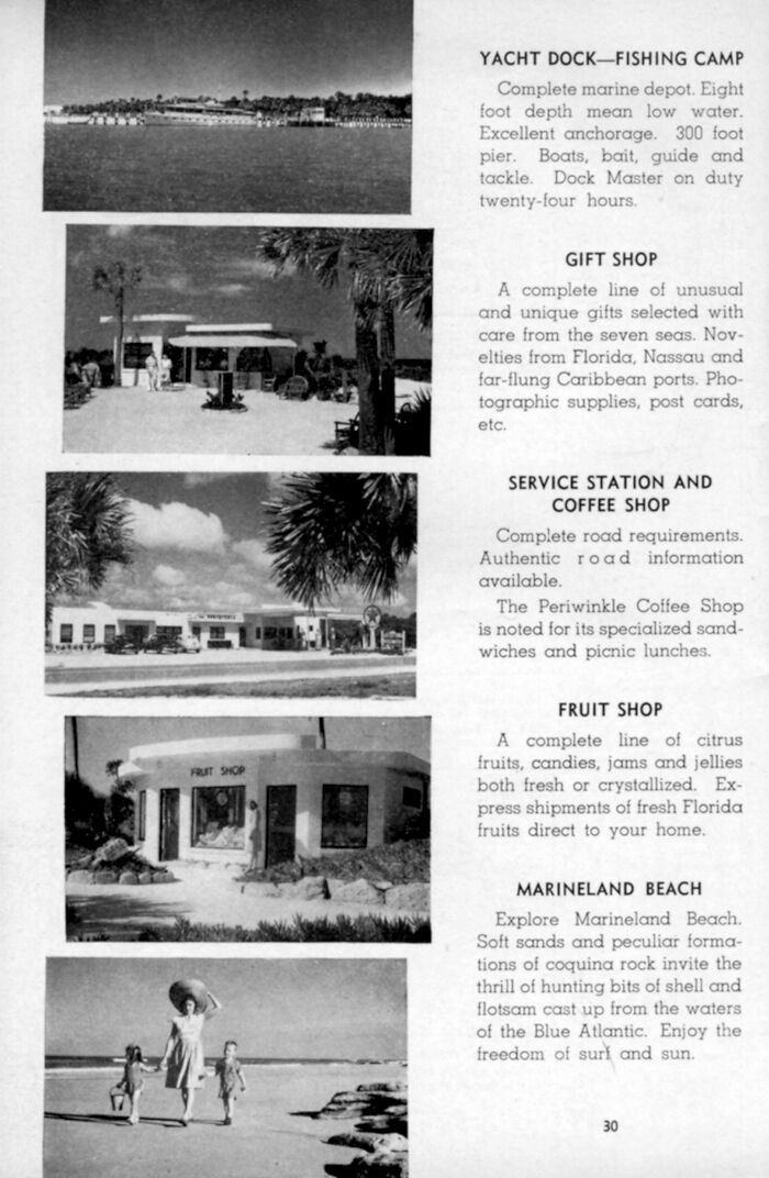 I Gathered Photos Showcasing Historic Marine Studios, Marineland Of Florida I Gathered Photos Showcasing Historic Marine Studios, Marineland Of Florida