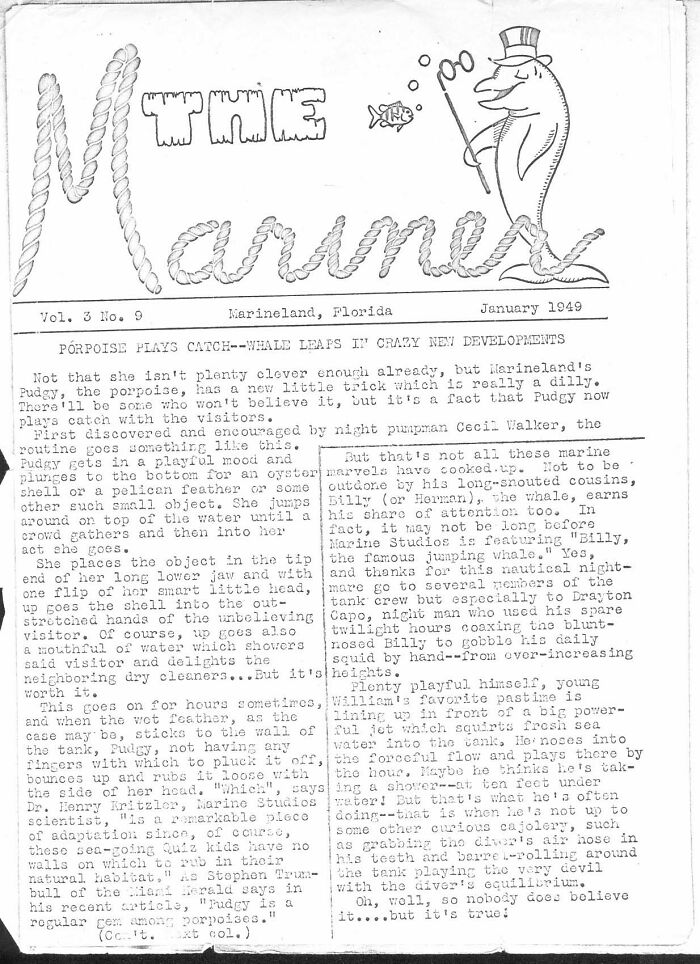 I Gathered Photos Showcasing Historic Marine Studios, Marineland Of Florida I Gathered Photos Showcasing Historic Marine Studios, Marineland Of Florida