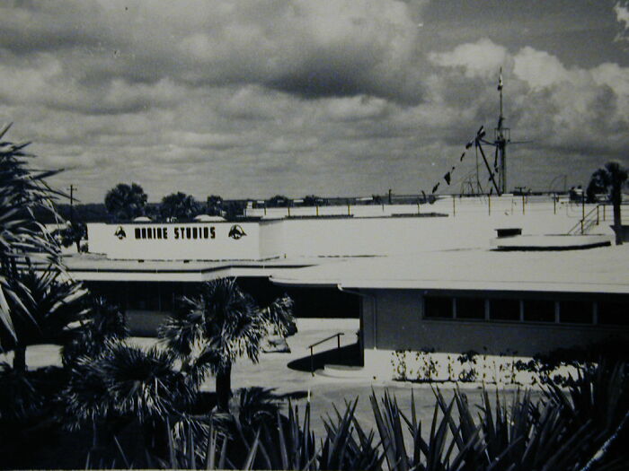 I Gathered Photos Showcasing Historic Marine Studios, Marineland Of Florida I Gathered Photos Showcasing Historic Marine Studios, Marineland Of Florida