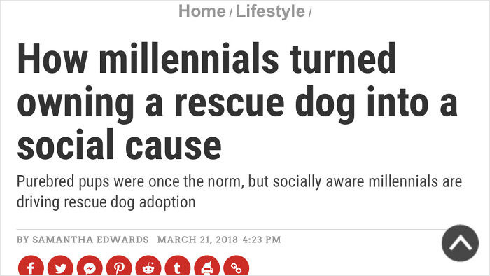 The Industry I’m Most Excited To Be Killing