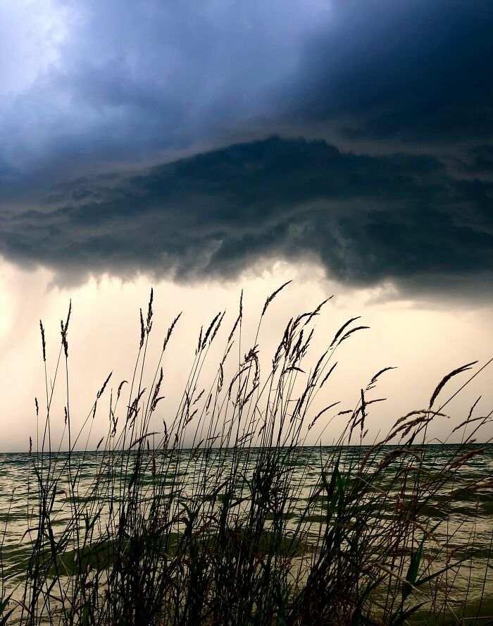 Weathering The Storm