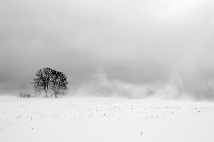 Snowstorm