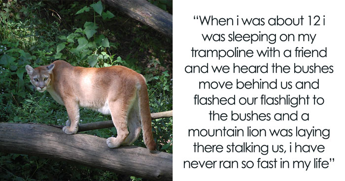 “My 70-Year-Old Father Married A 20-Year-Old”: 35 Creepy Things Folks Online Have Witnessed