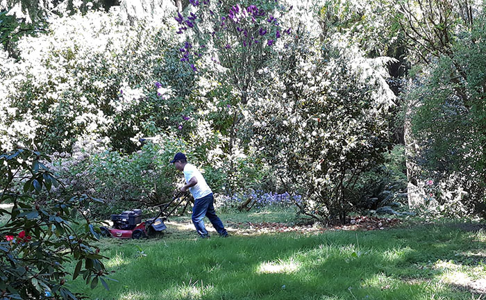 “Just Before 8 PM, One Of My Neighbors Started Screaming”: Woman Ordered To Stop Mowing Her Lawn Because It’s Sunday And People Want To Rest