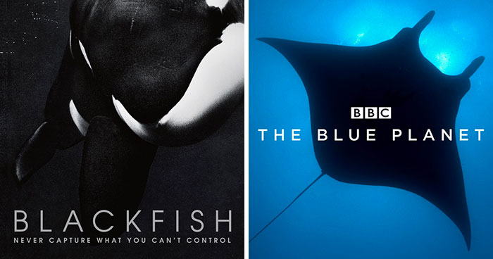 48 Must-See Documentaries That Are Able To Be Informative And Interesting