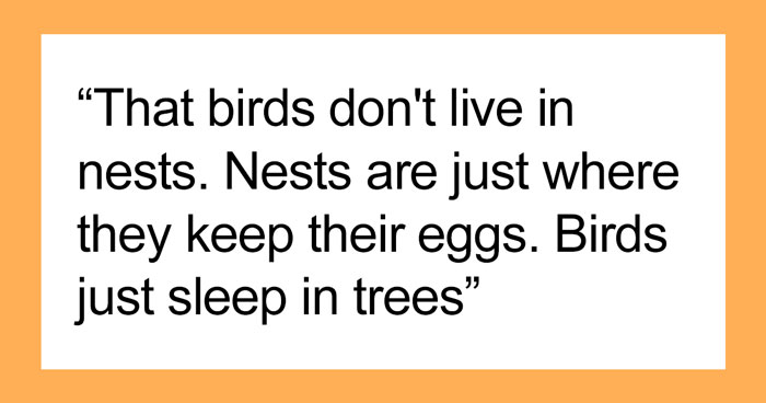 30 Times Folks Were Blind To The Obvious And Just Recently Realized What’s Up, As Shared Online