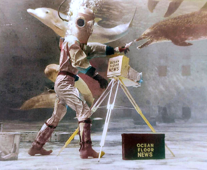 I Gathered Photos Showcasing Historic Marine Studios, Marineland Of Florida I Gathered Photos Showcasing Historic Marine Studios, Marineland Of Florida