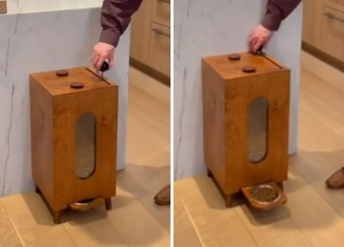 Pet Food Dispenser