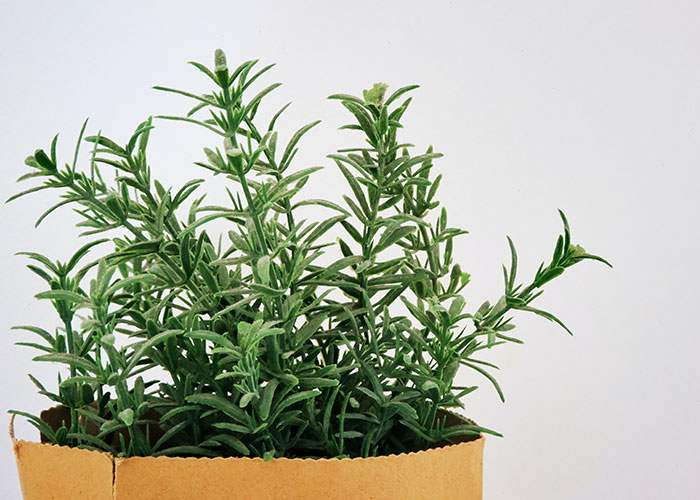 "Uncut Lettuce As Salads": People Share 30 Common Food Trends That They Hate