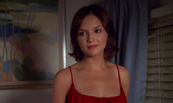 Rachael Leigh Cook As Laney Boggs