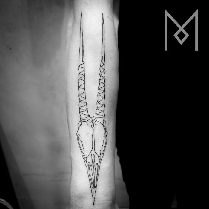 Single line tattoo depicting a stylized animal skull with long, thin horns on an arm.