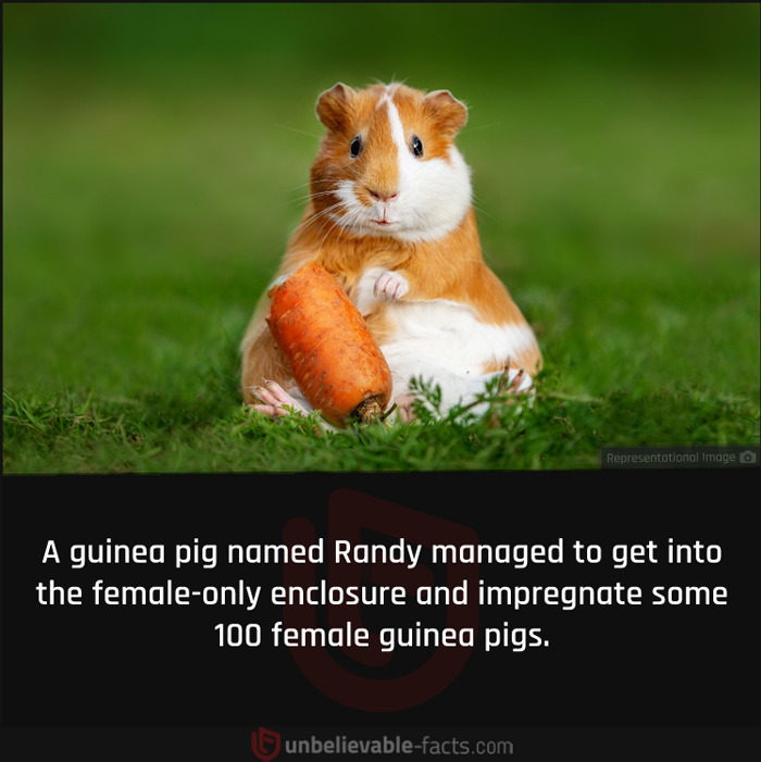 Page-Shares-Unbelievable-Facts