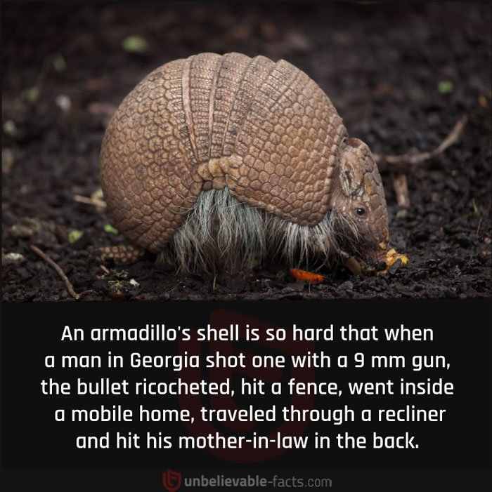 Page-Shares-Unbelievable-Facts