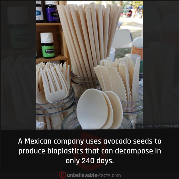 Page-Shares-Unbelievable-Facts