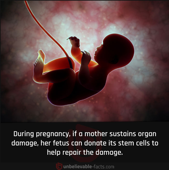 Page-Shares-Unbelievable-Facts