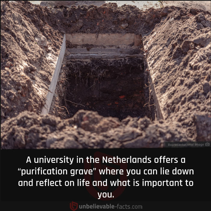 Page-Shares-Unbelievable-Facts