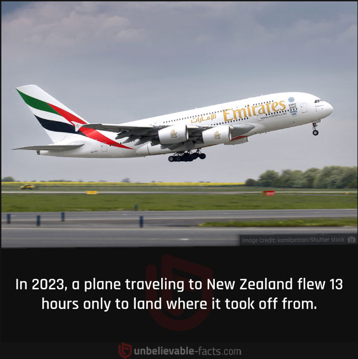 Page-Shares-Unbelievable-Facts