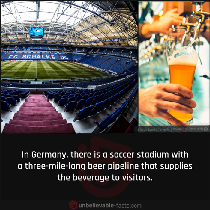 Page-Shares-Unbelievable-Facts