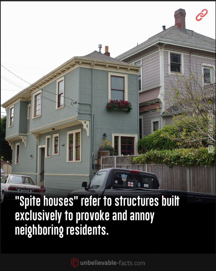 Page-Shares-Unbelievable-Facts