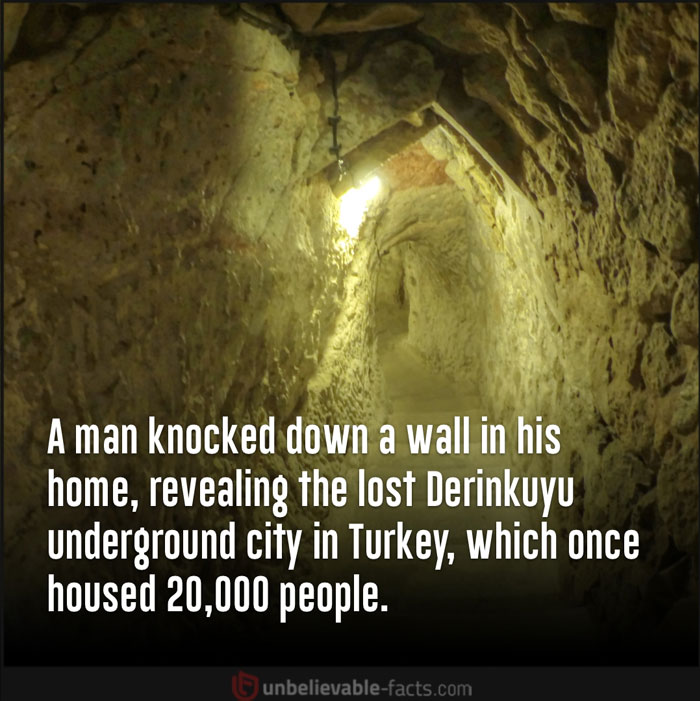 Page-Shares-Unbelievable-Facts