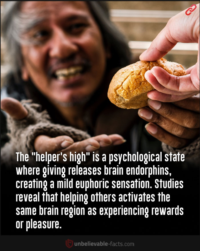 Page-Shares-Unbelievable-Facts