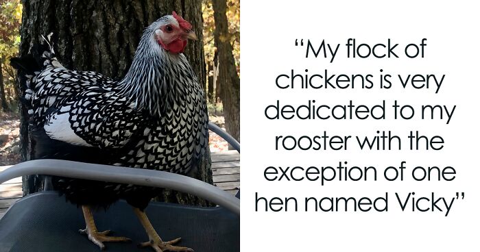 40 Owners Of Multiple Pets Share The Dramas They Get To Witness