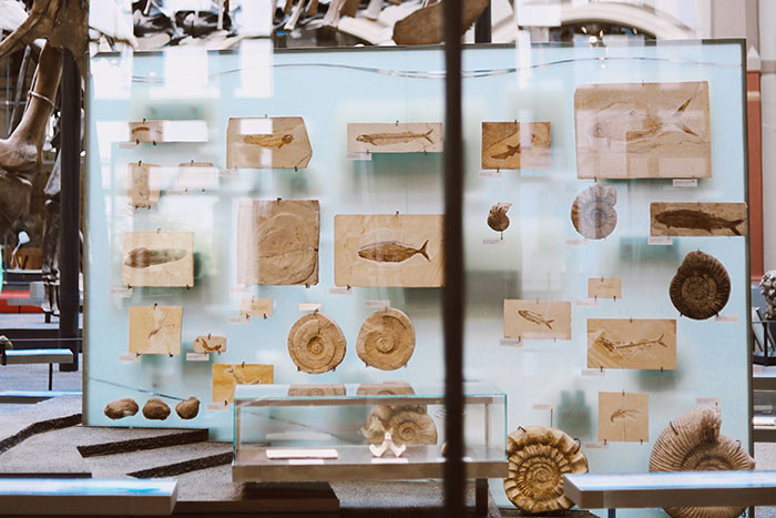 “People That Don’t Hate Their Jobs And Make A Decent Wage, What Do You Do?” (50 Answers)