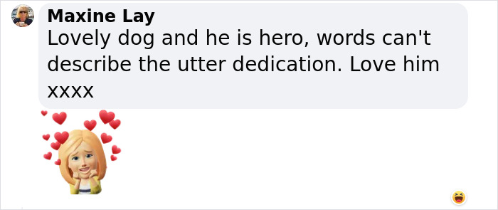 Video Showing A Service Dog Receiving A Diploma Alongside Owner With Disability Wins The Internet’s Hearts Video Showing A Service Dog Receiving A Diploma Alongside Owner With Disability Wins The Internet’s Hearts