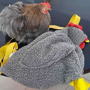 sabrina_y2000 avatar