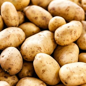 angelikagarrett avatar