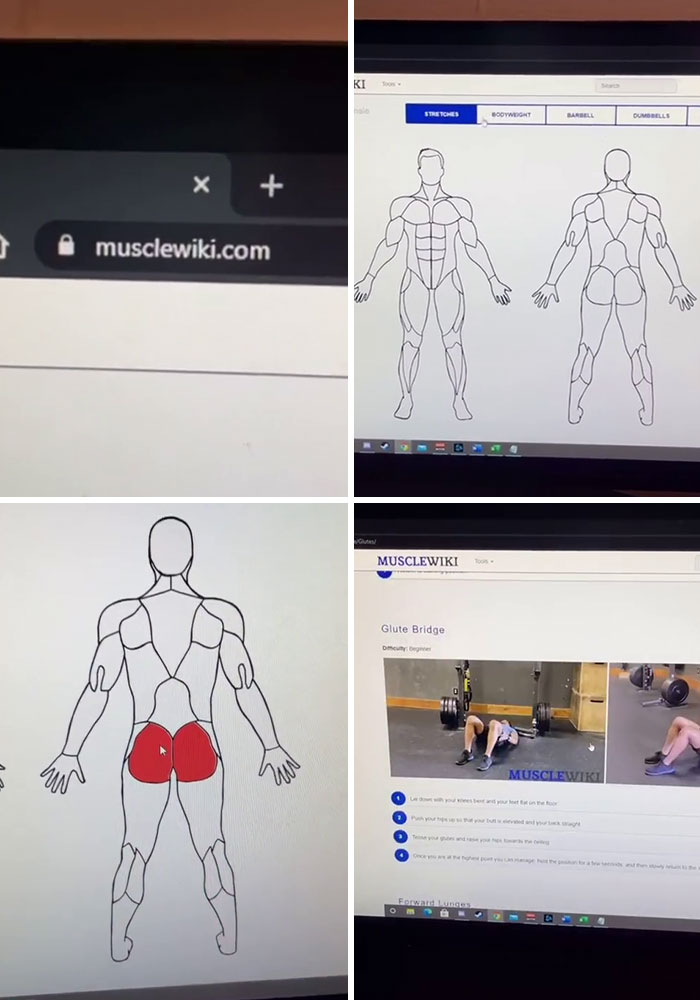 Screen showing MuscleWiki website with muscle diagrams and exercise instructions for glute bridge workout.