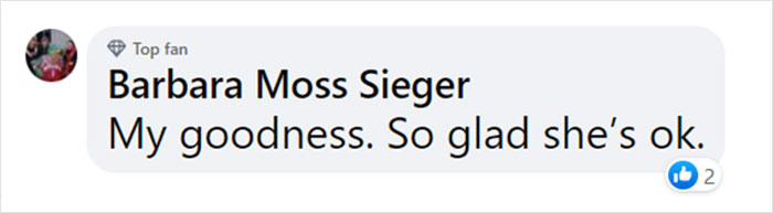 Dog Gives Birth To 7 Puppies On The Way To The Hospital Where She Was Taken Because Of A Rattlesnake Bite Dog Gives Birth To 7 Puppies On The Way To The Hospital Where She Was Taken Because Of A Rattlesnake Bite