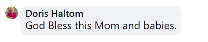 Dog Gives Birth To 7 Puppies On The Way To The Hospital Where She Was Taken Because Of A Rattlesnake Bite Dog Gives Birth To 7 Puppies On The Way To The Hospital Where She Was Taken Because Of A Rattlesnake Bite