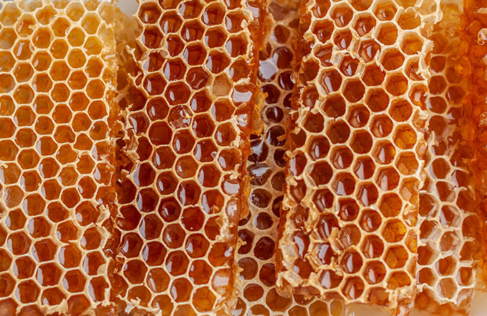 Fresh honeycomb
