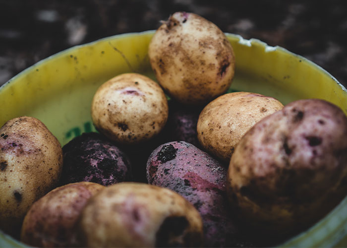 Someone Asked People To Share "Real But Crazy Facts That Could Save Your Life" And Here Are 30 Of The Most Helpful