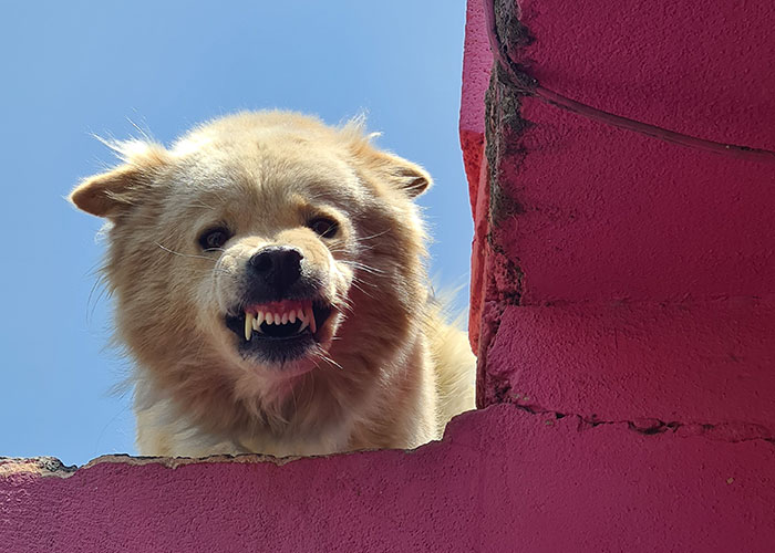 Someone Asked People To Share "Real But Crazy Facts That Could Save Your Life" And Here Are 30 Of The Most Helpful