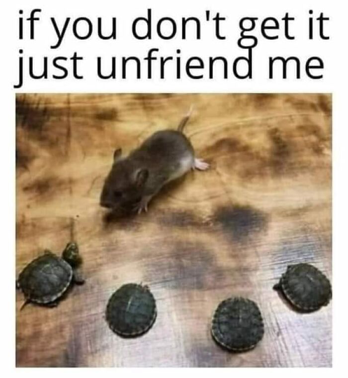 Relatable-Funny-90s-Memes