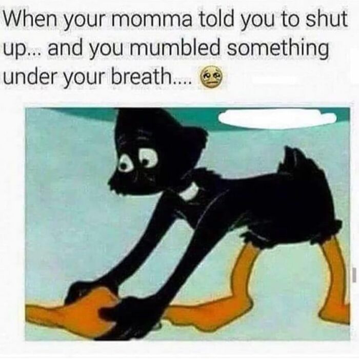 Relatable-Funny-90s-Memes