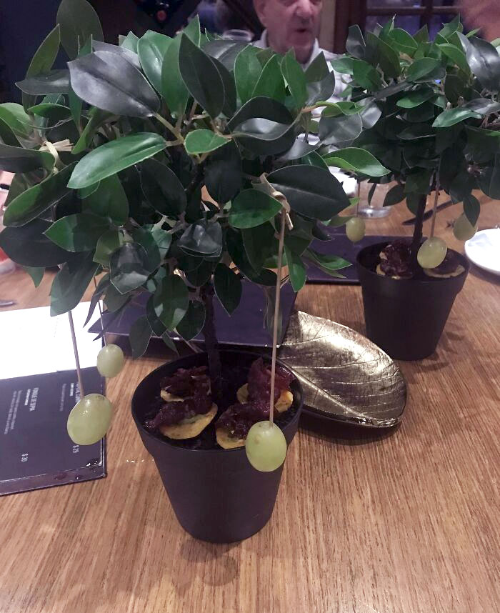 Some Kind Of Fancy Pork Piles With Grapes On A Tree? The Waiter Later Said The Dirt Is Actually Edible