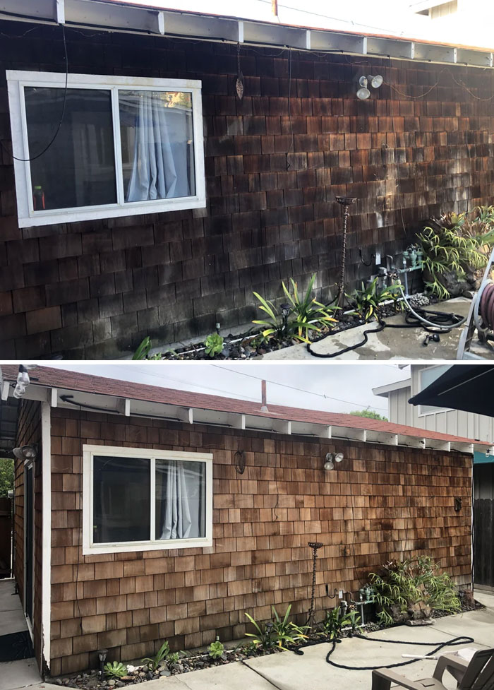 Who Knew Shingles Aren’t Supposed To Be Black