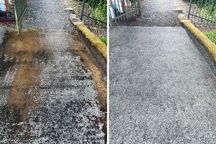 I Washed Several Years Of Pacific Northwest History Off The Driveway