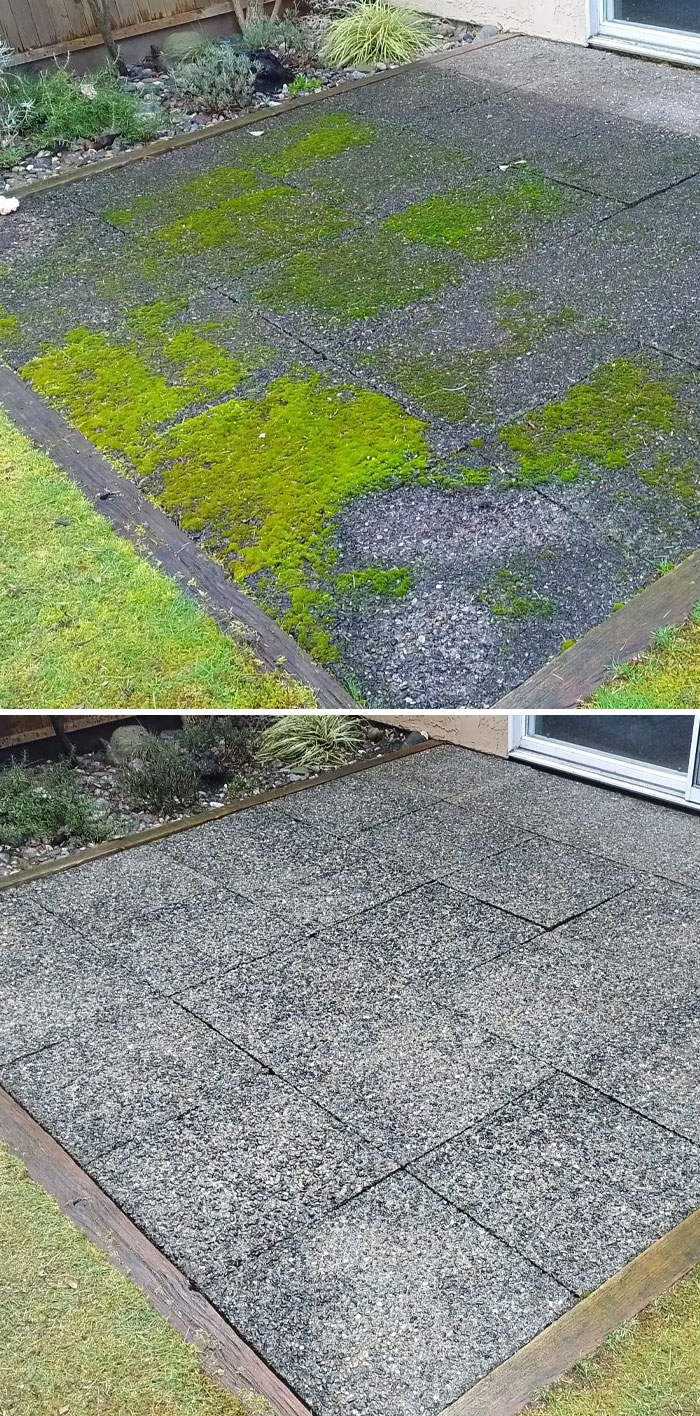 Moss Is Beautiful, But You Can Slip On It