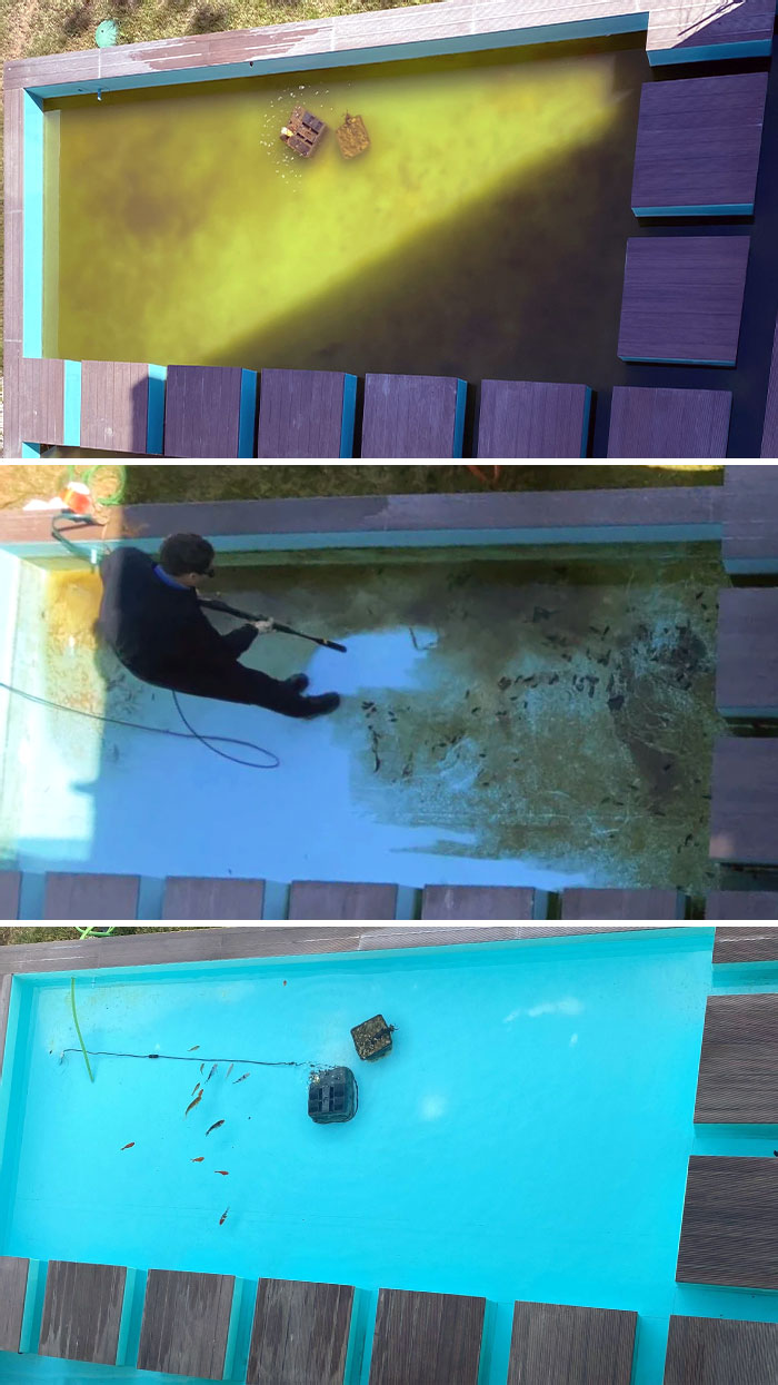 Devolver a la vida a un estanque